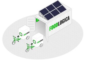 solar-foodlogica.jpg.650x0_q85_crop-smart